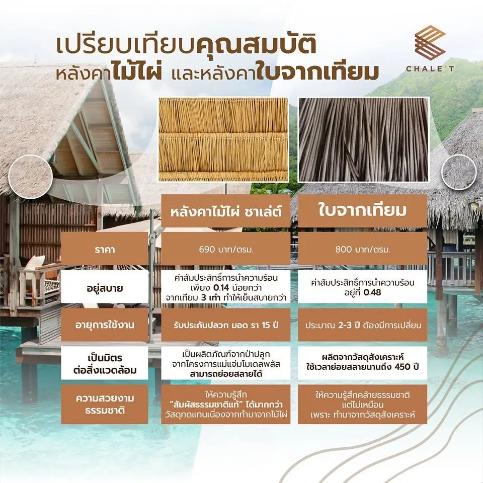 article_88fd34b0-d820-11ea-a4c4-574fee7e5ca6.webp